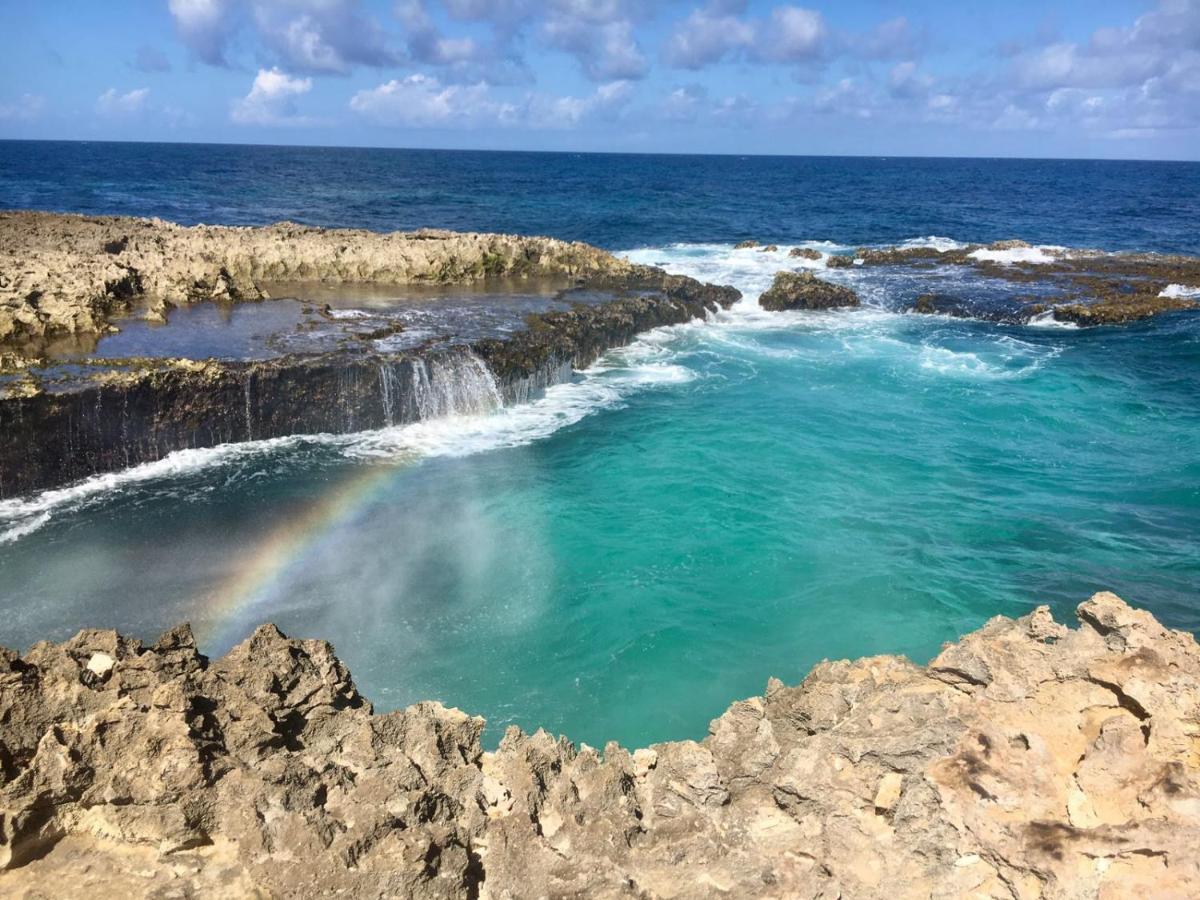 Harmony Hotel Hostel Aruba Tanki Leendert Kültér fotó