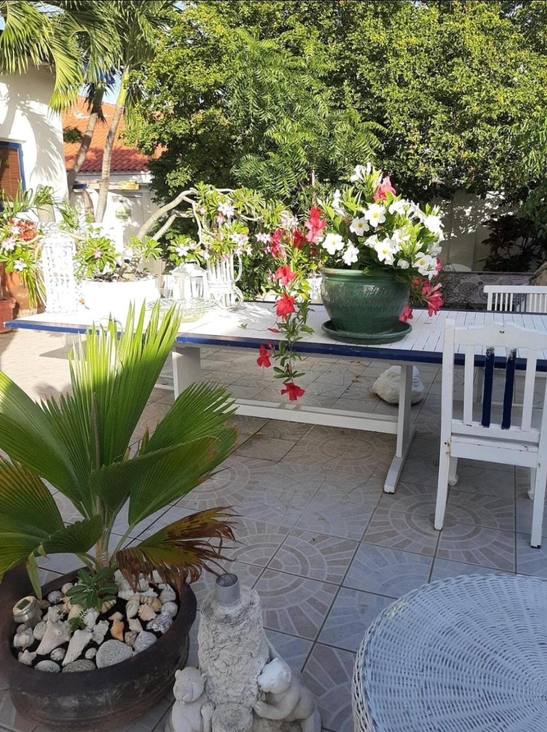 Harmony Hotel Hostel Aruba Tanki Leendert Kültér fotó